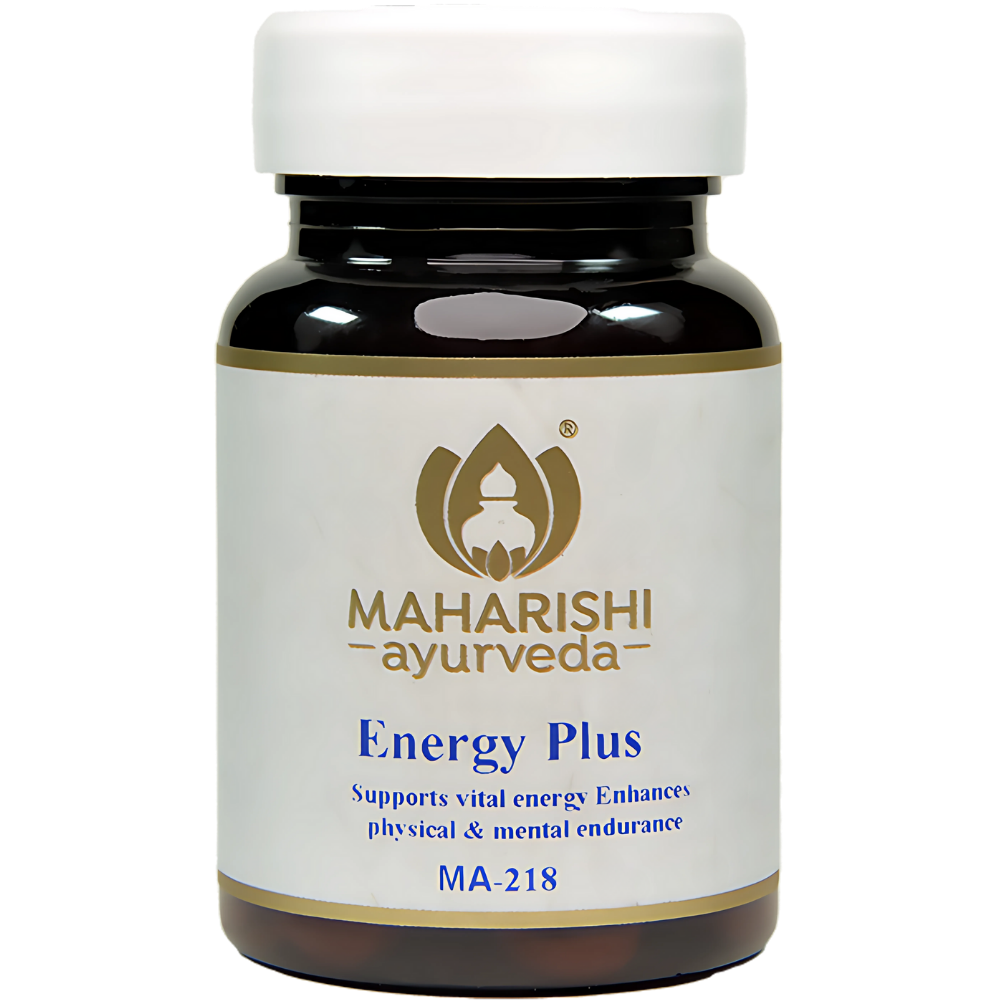 Energy Plus